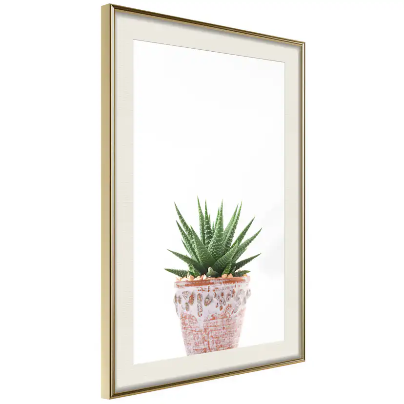 Poster Artgeist Affisch Succulents In Pot