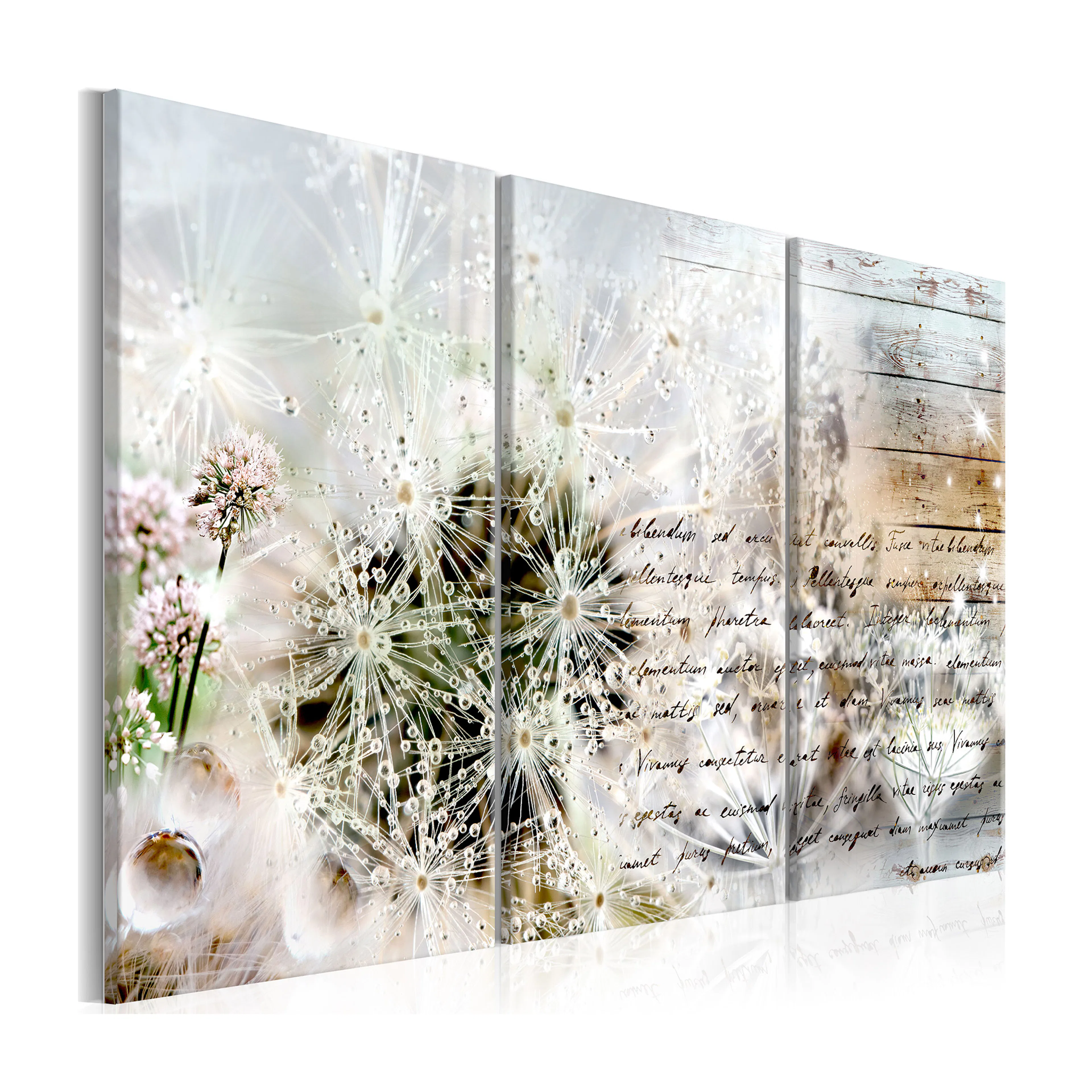 Tavla Arkiio Starry Dandelions I