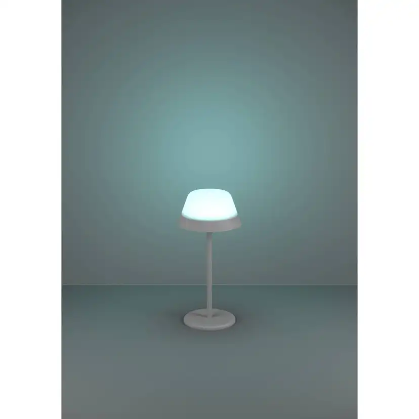 Bordslampa Eglo Meggiano