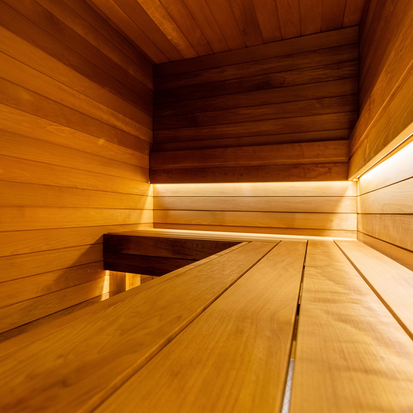 Bastulav Sauna Sweden SHP Asp 21x 65mm
