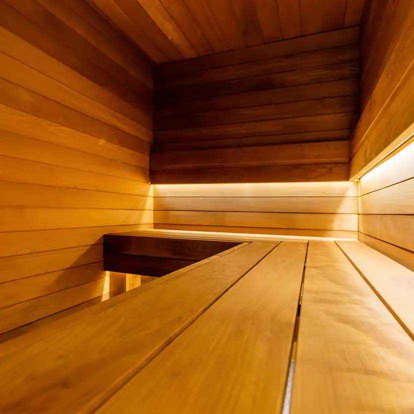 Bastulav Sauna Sweden SHP Asp 21x 65mm