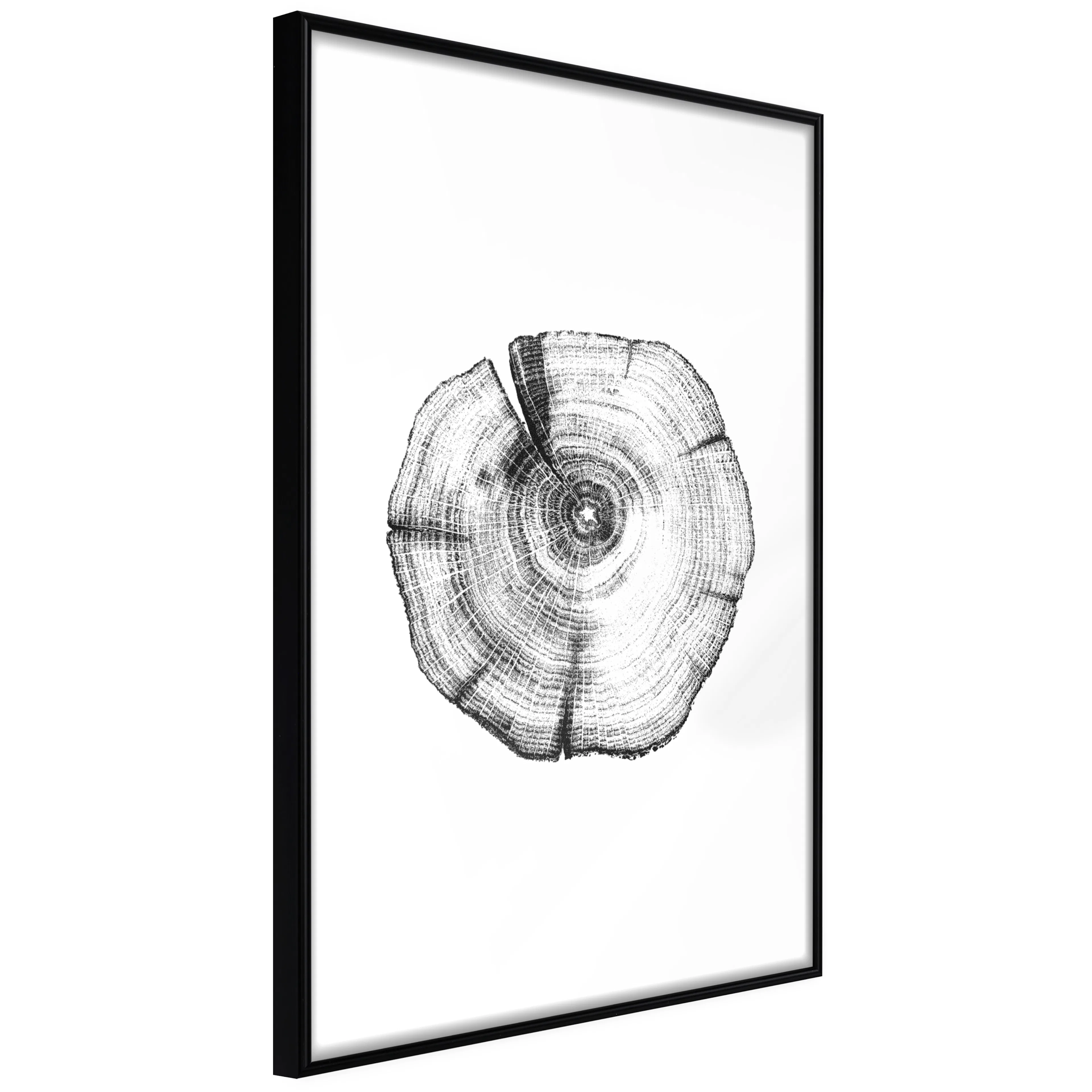 Affisch - Wood Slice [Poster] 20x30 Svart ram, 20x30 cm