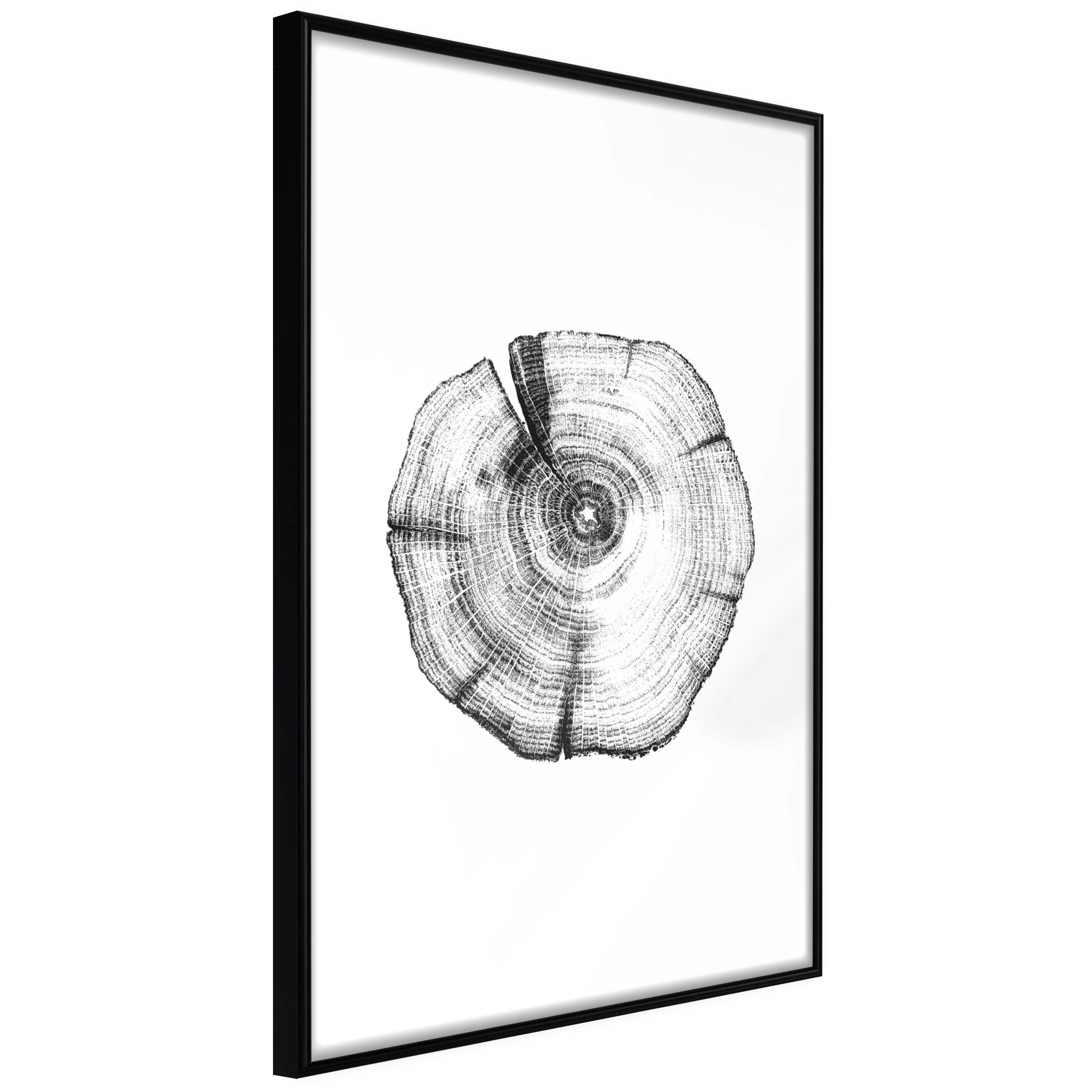 Poster Artgeist Affisch Wood Slice