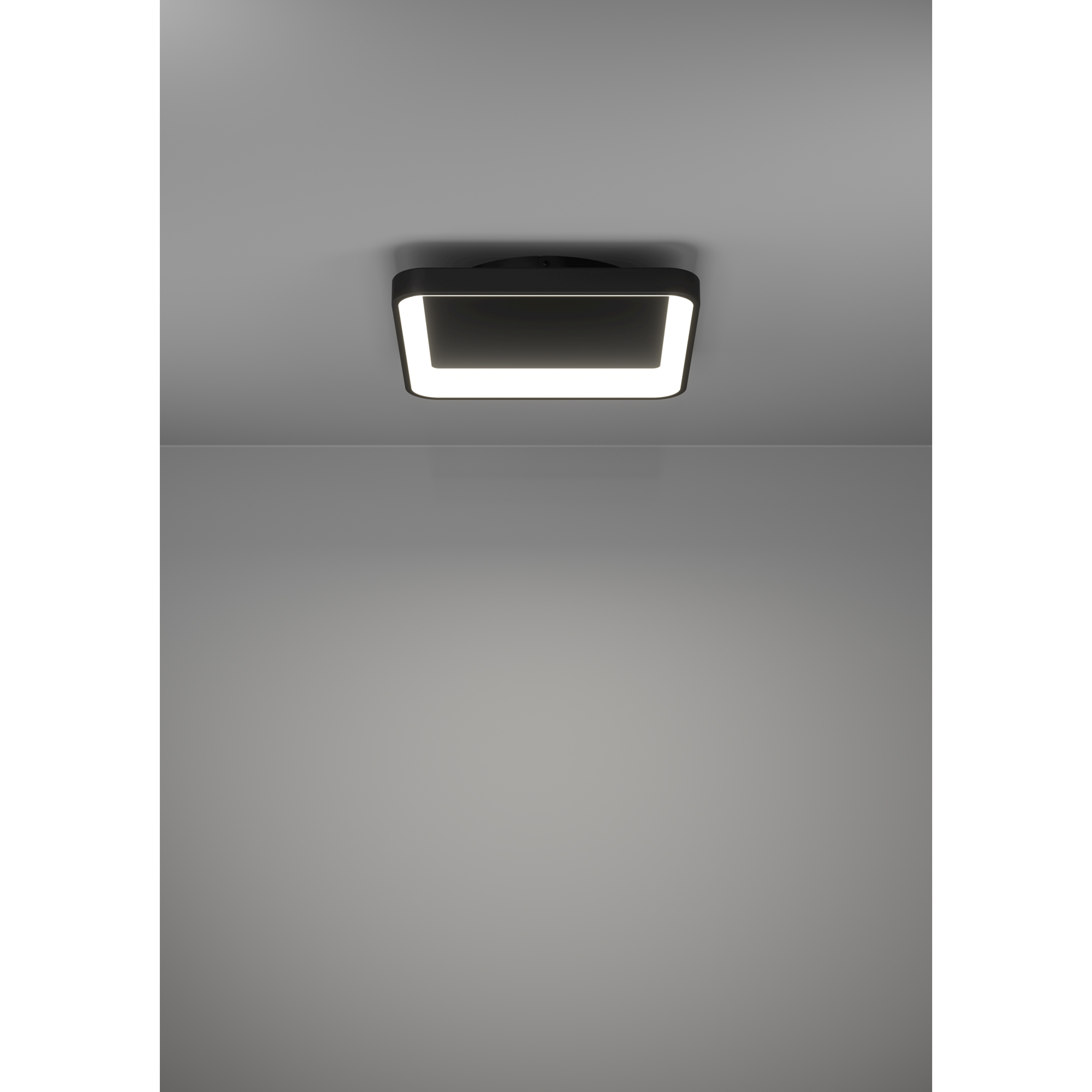 Vägg-/Taklampa Eglo Loretello