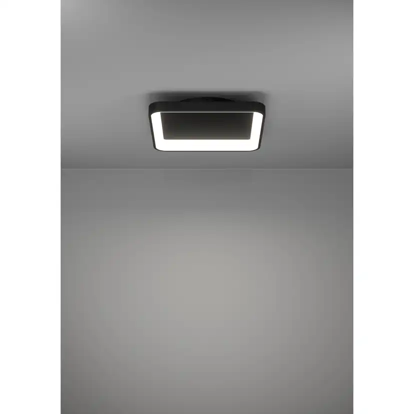 Vägg-/Taklampa Eglo Loretello