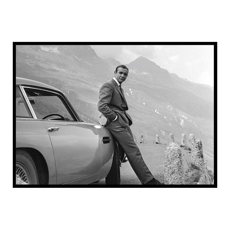 Poster Gallerix Sean Connery