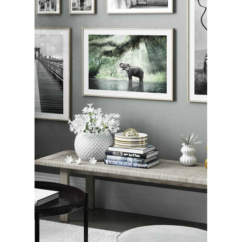 Poster Gallerix Elephant In Sunlight