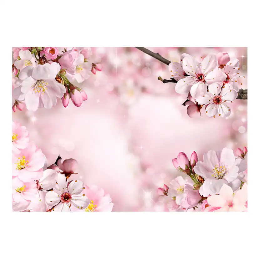 Fototapet Arkiio Självhäftande Spring Cherry Blossom