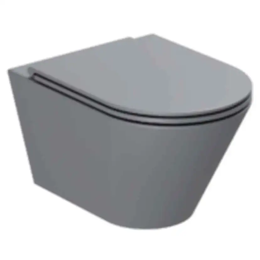 Forma Vägghängd Toalettstol, Anthracite