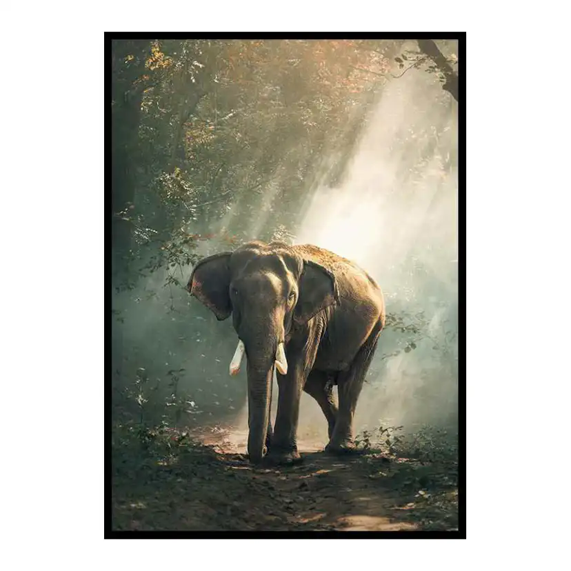 Poster Gallerix Forest Elephant