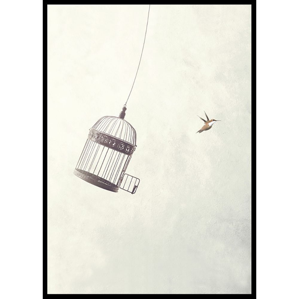 Poster Gallerix Flying Towards Freedom