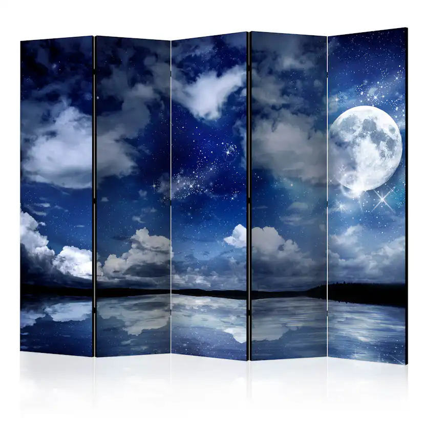 Rumsavdelare Skärmvägg Arkiio Magic Night II 225x172 cm