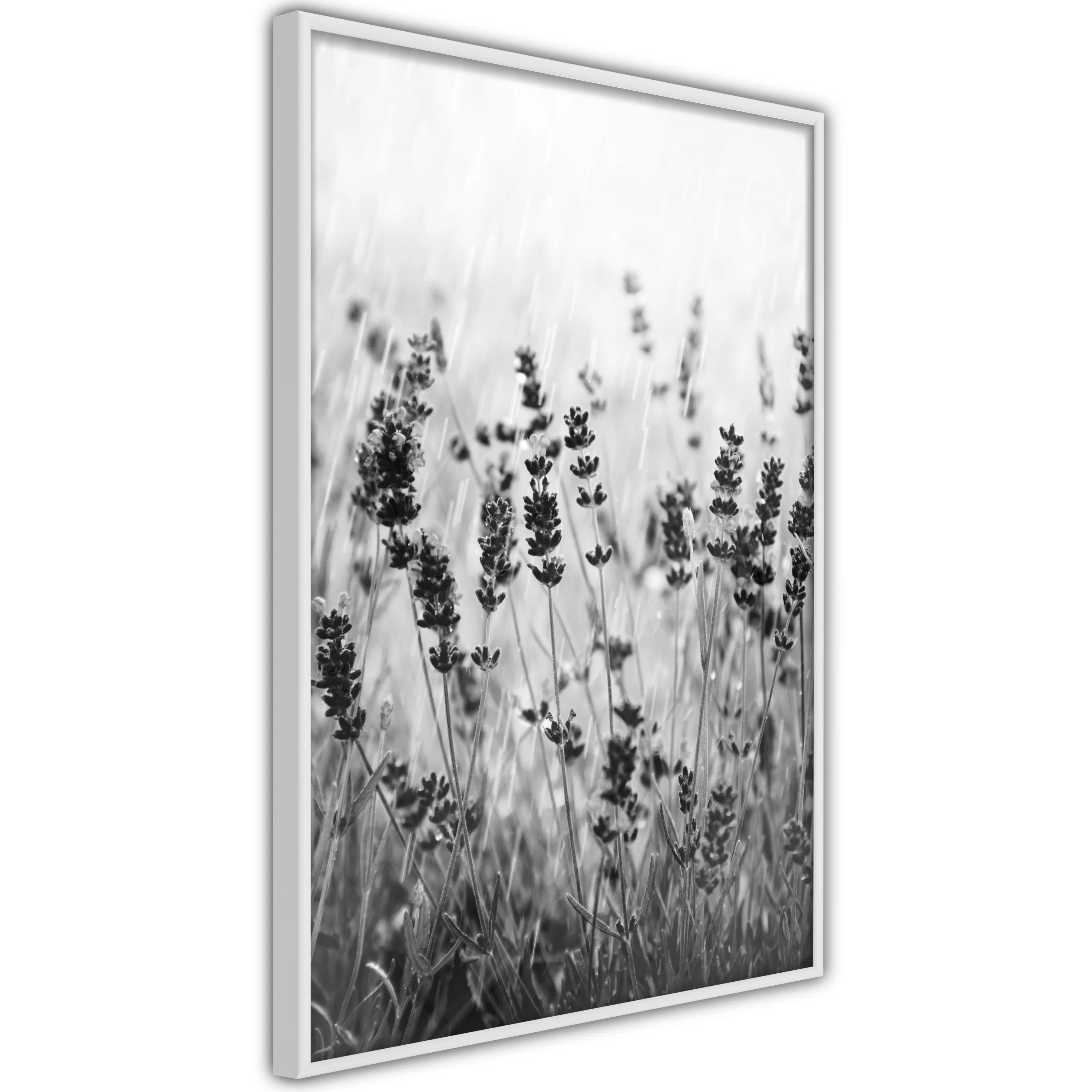 Poster Artgeist Affisch Lavender in the Rain