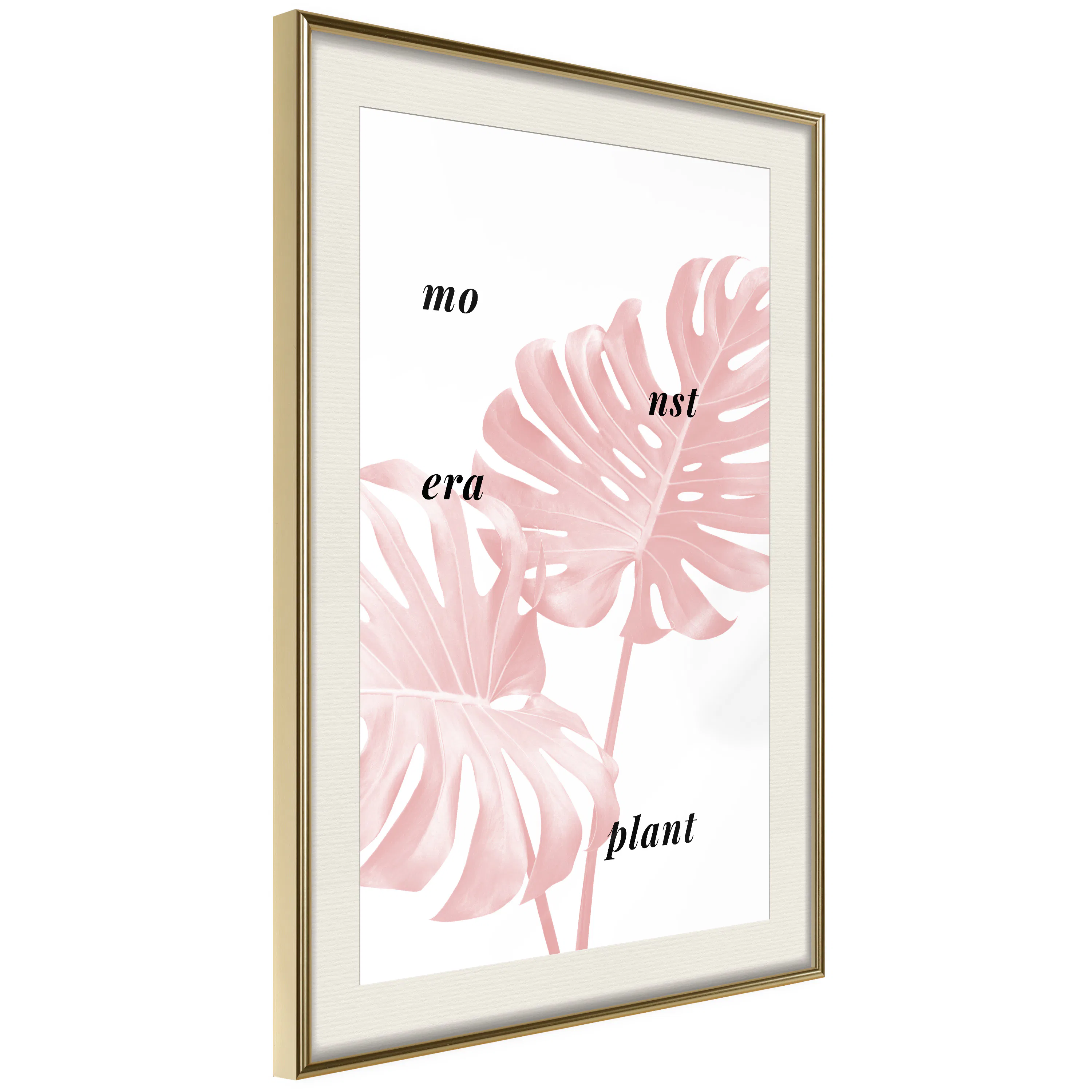 Poster Artgeist Affisch Monstera Plant