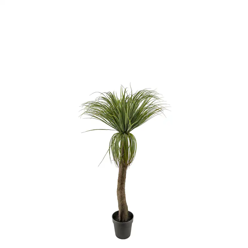 Konstväxt Mr Plant Flasklilja