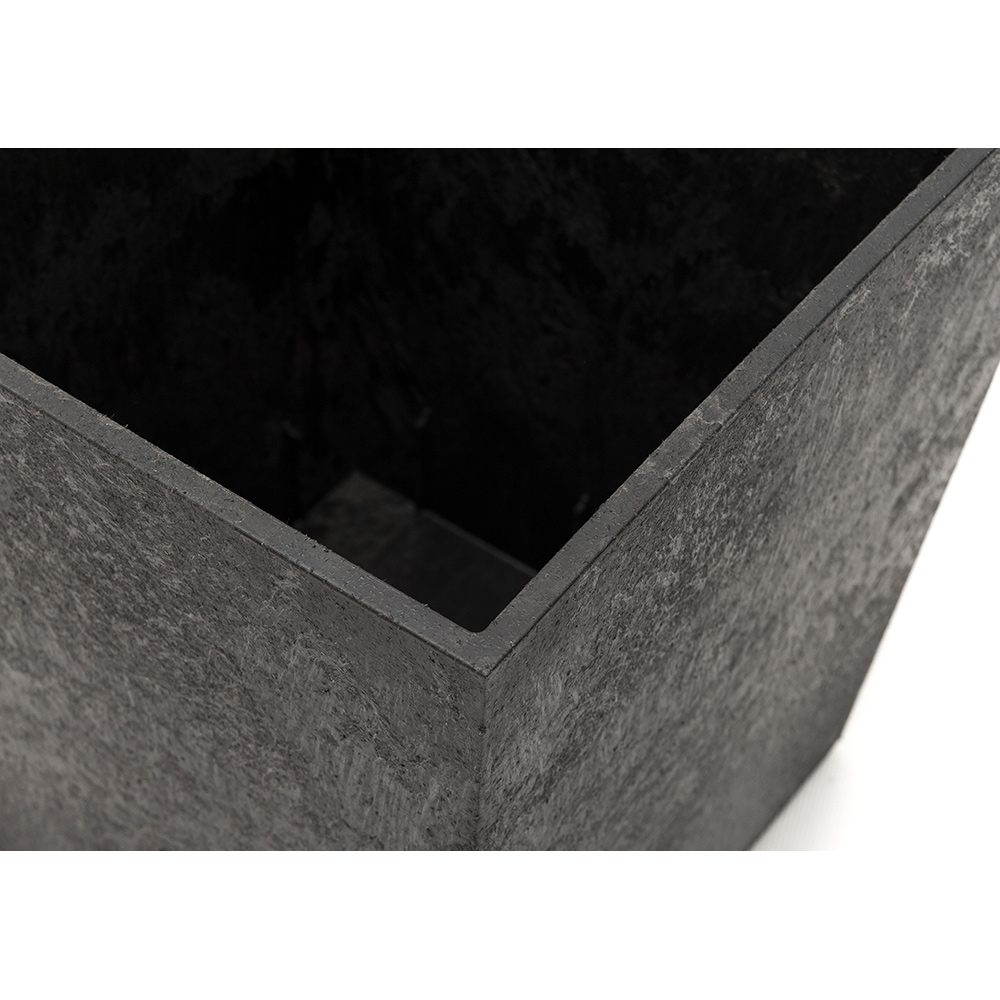 Blomkruka Recal Sonata