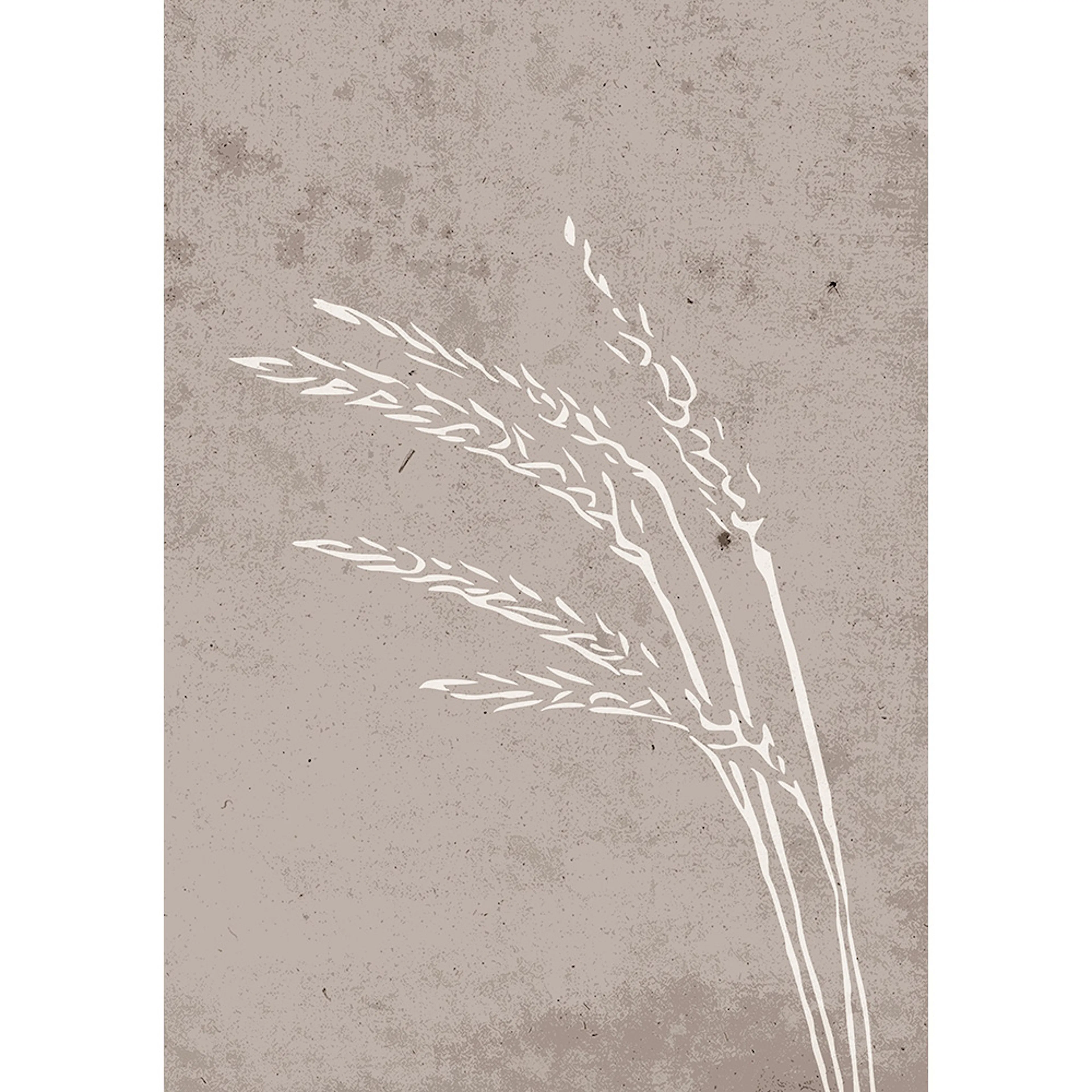 Posters Venture Home Seeds Beige