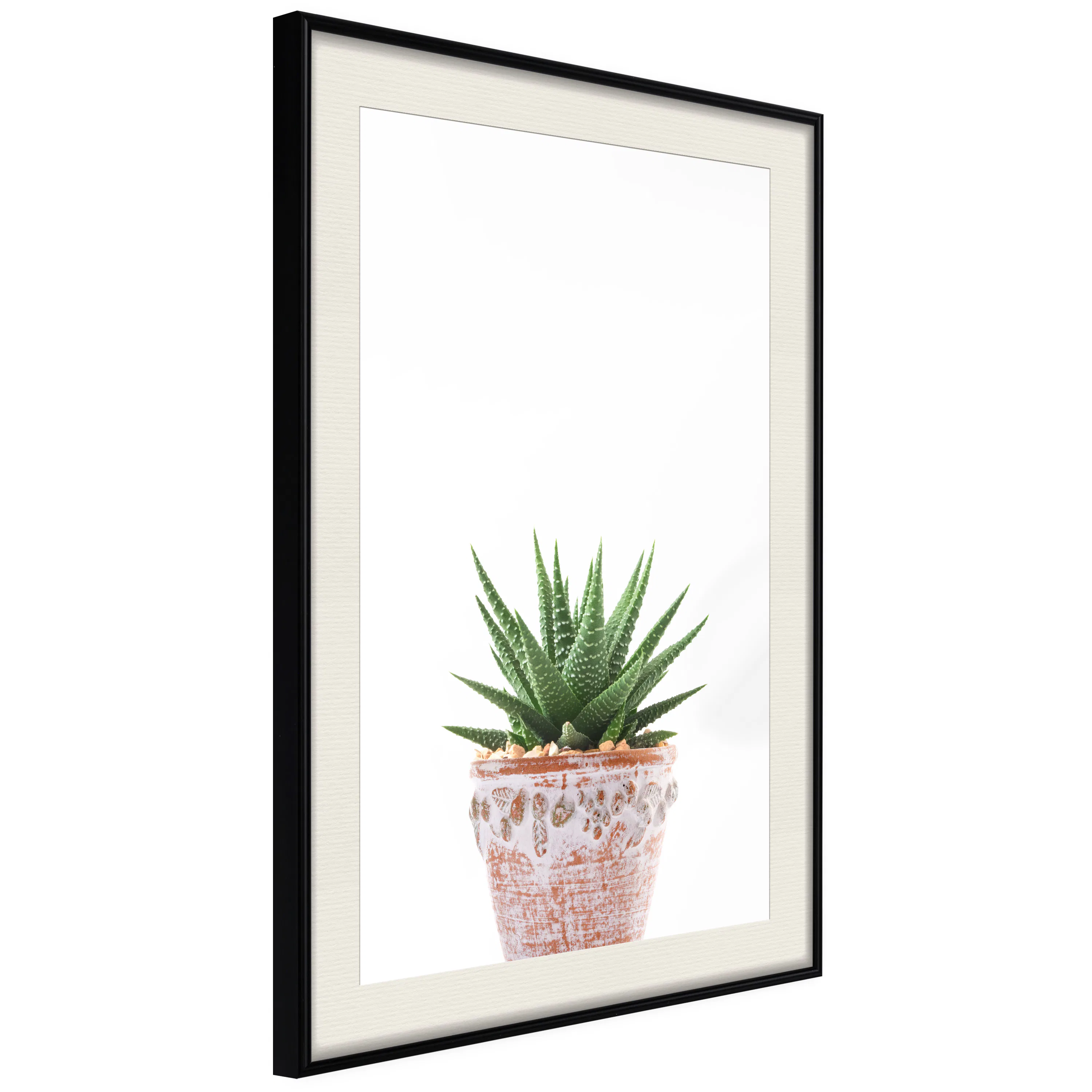 Poster Artgeist Affisch Succulents In Pot