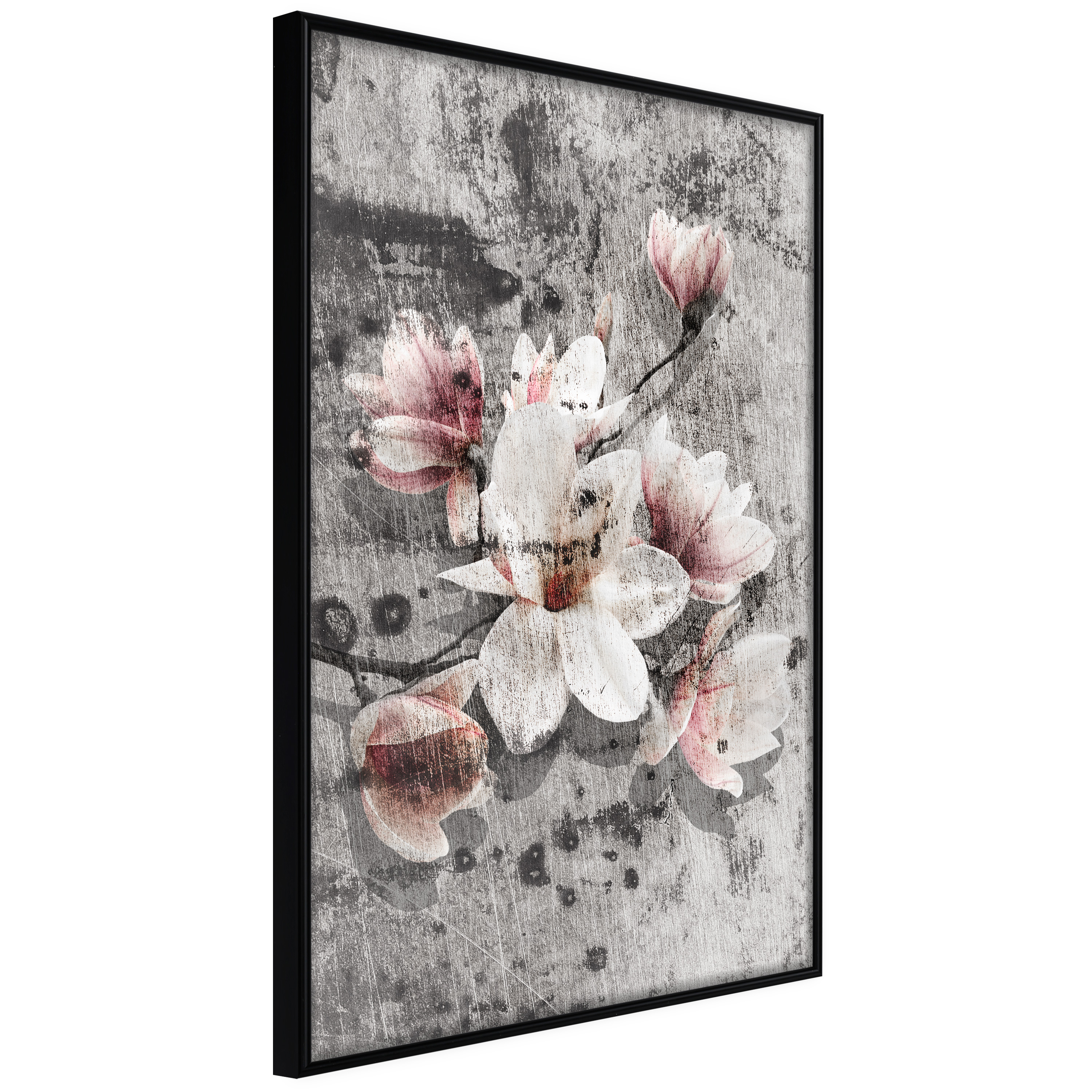 Affisch - Magnolias [Poster] 40x60 Svart ram, 40x60 cm