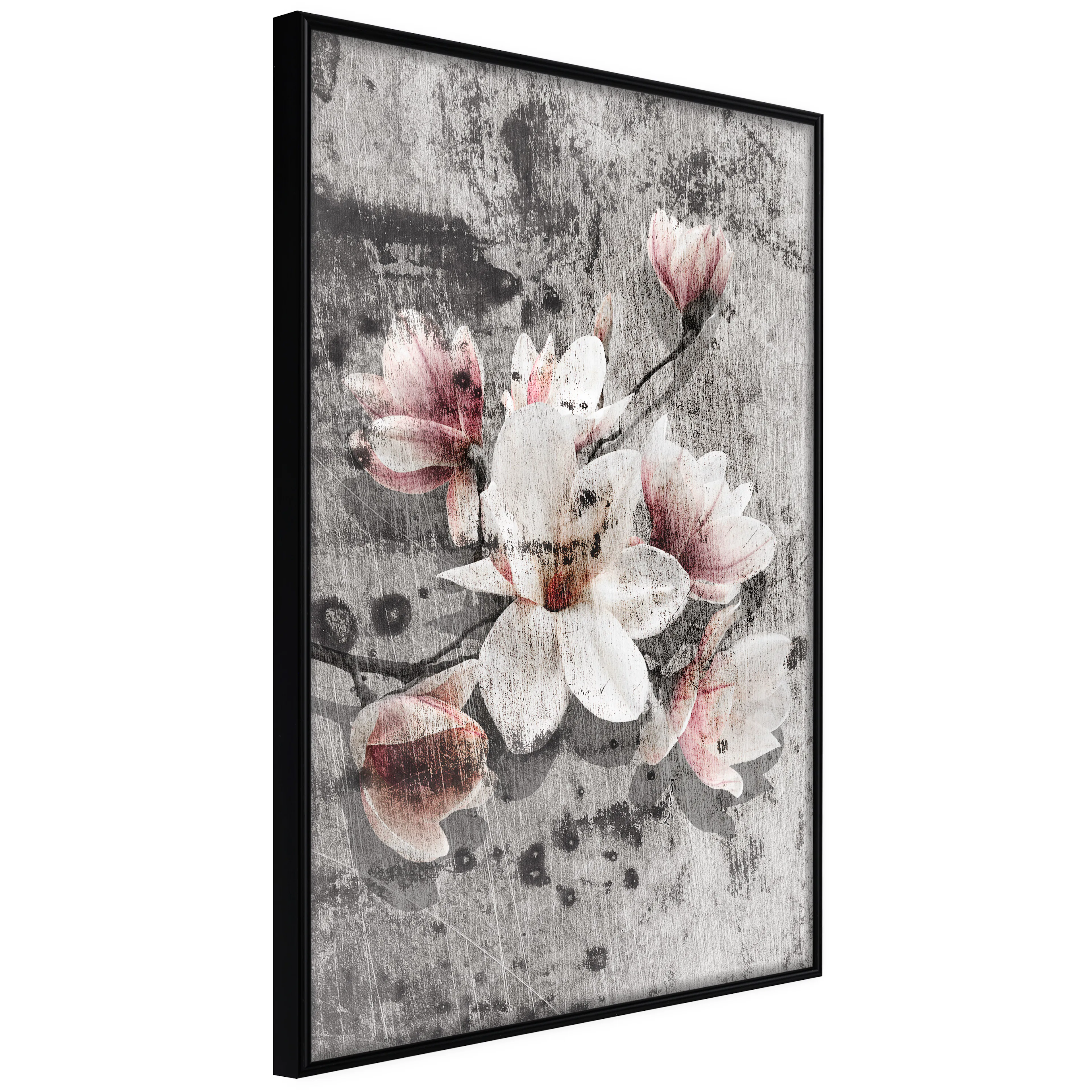 Affisch - Magnolias [Poster] 20x30 Svart ram, 20x30 cm
