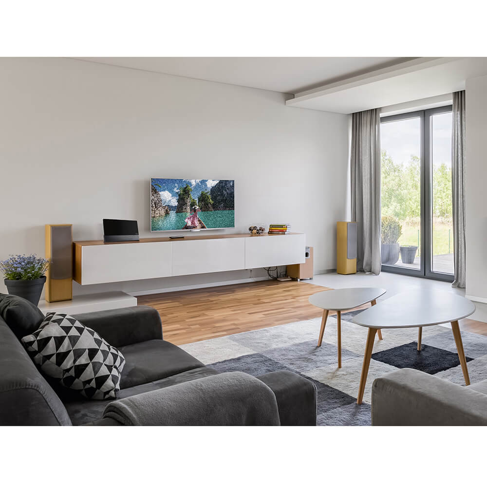 Inomhusantenn Hama Pro 55 DAB+/DAB/DVB-T2/FM Flat