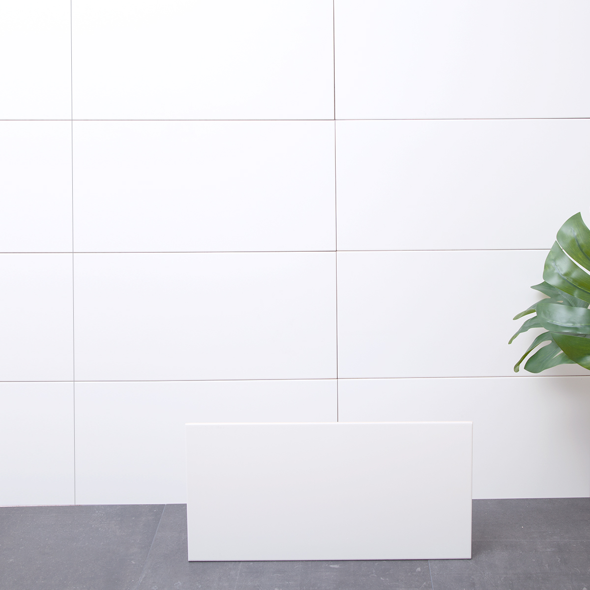 Kakel Arredo Line Vit Matt 30x60 cm