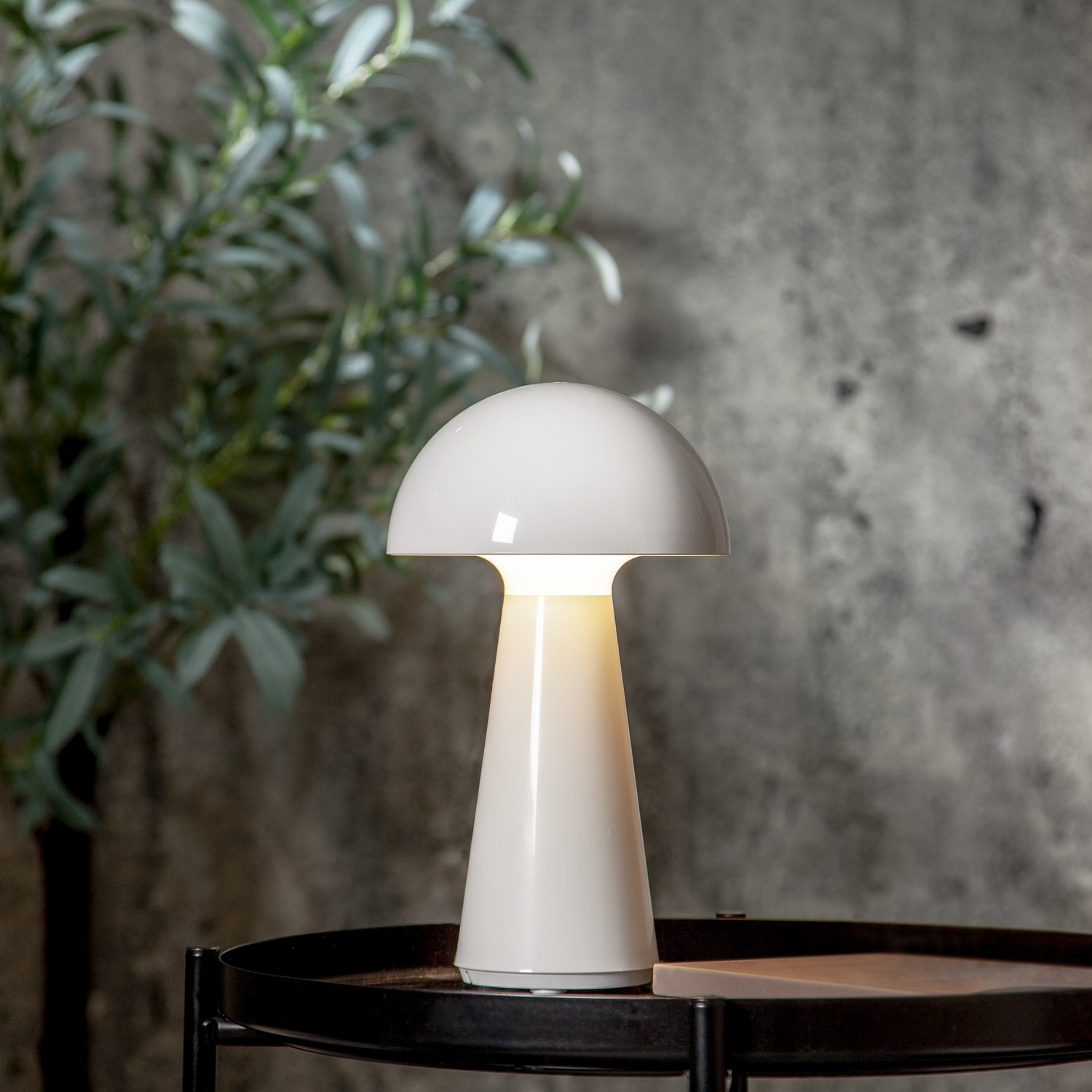 Bordslampa Star Trading Mushroom