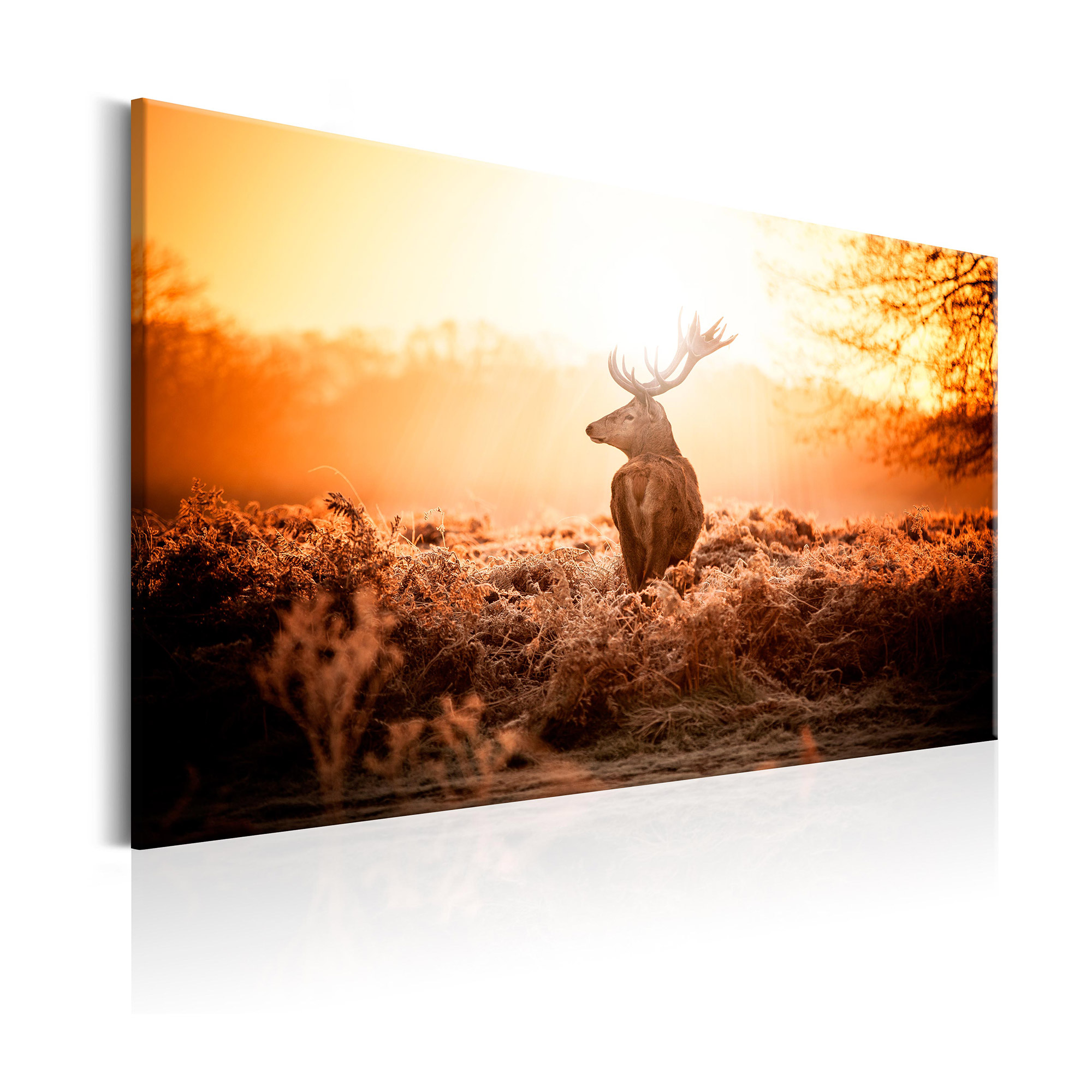 Tavla Arkiio Deer In The Sun