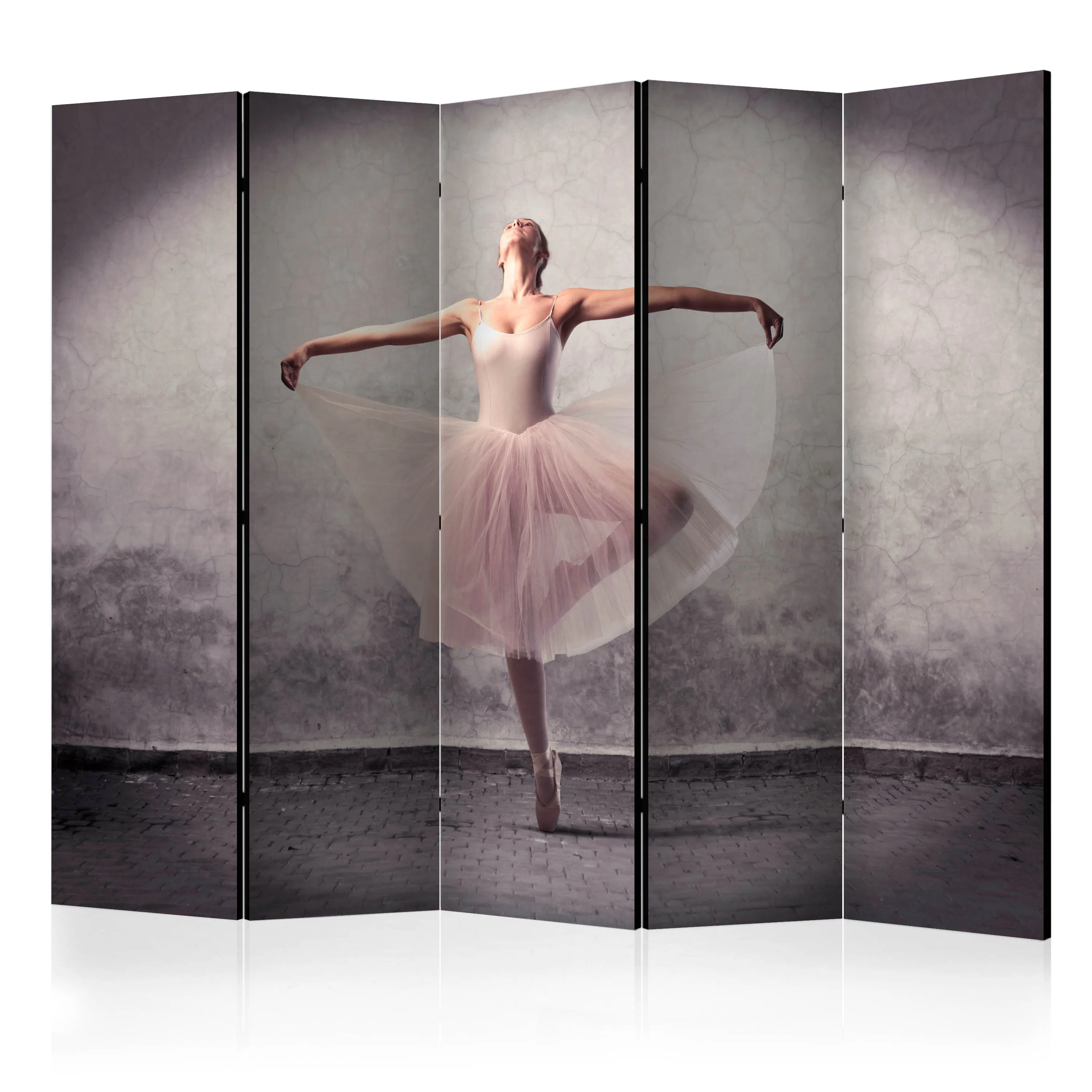 Rumsavdelare Skärmvägg Arkiio Classical Dance Poetry without Words II 225x172 cm