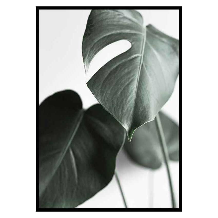Poster Gallerix Green Leaves No1