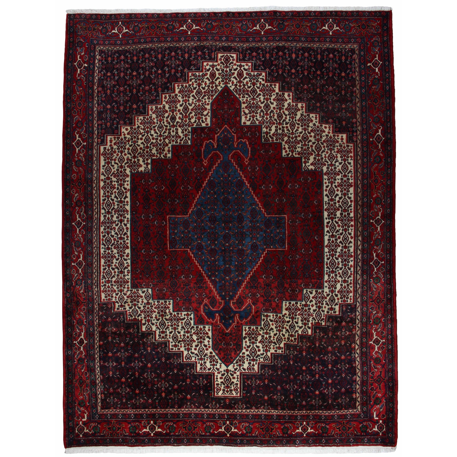 Persisk Enkelvävd Matta Arkiio Senneh Exklusiv 234x308