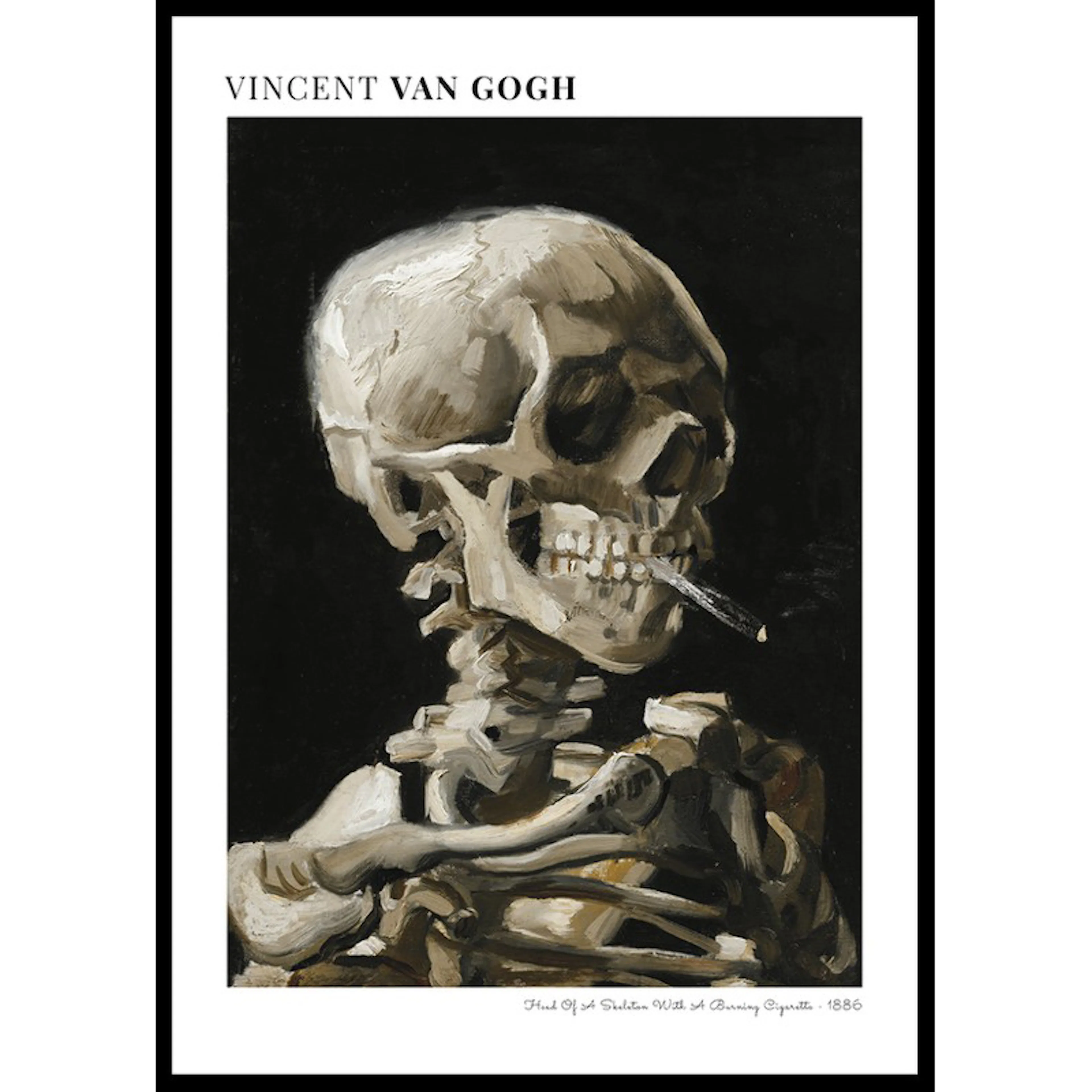Head Of A Skeleton By Vincent Van Gogh 30x40 30x40 cm