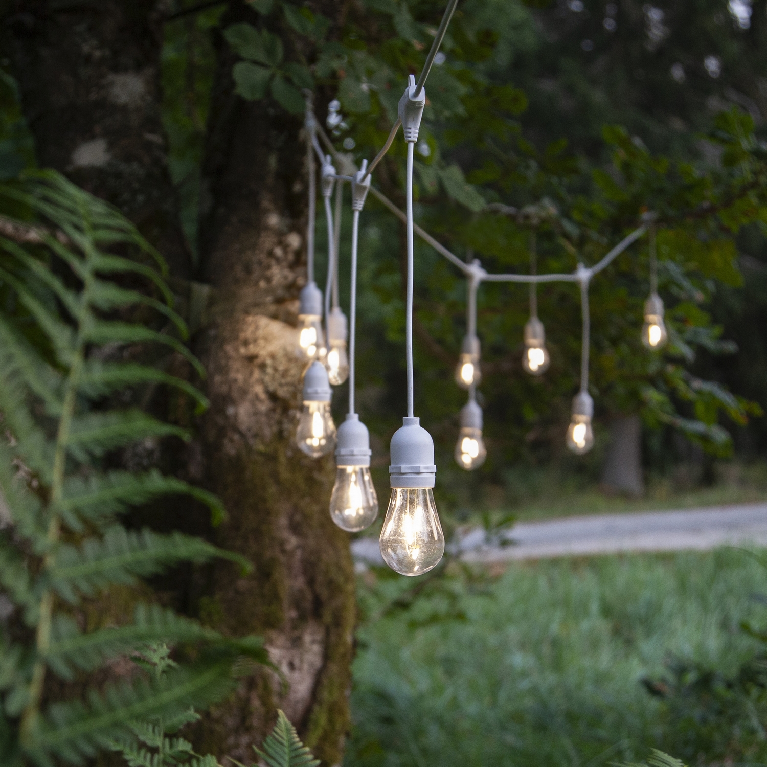Ljusslinga Star Trading String Light Outdoor