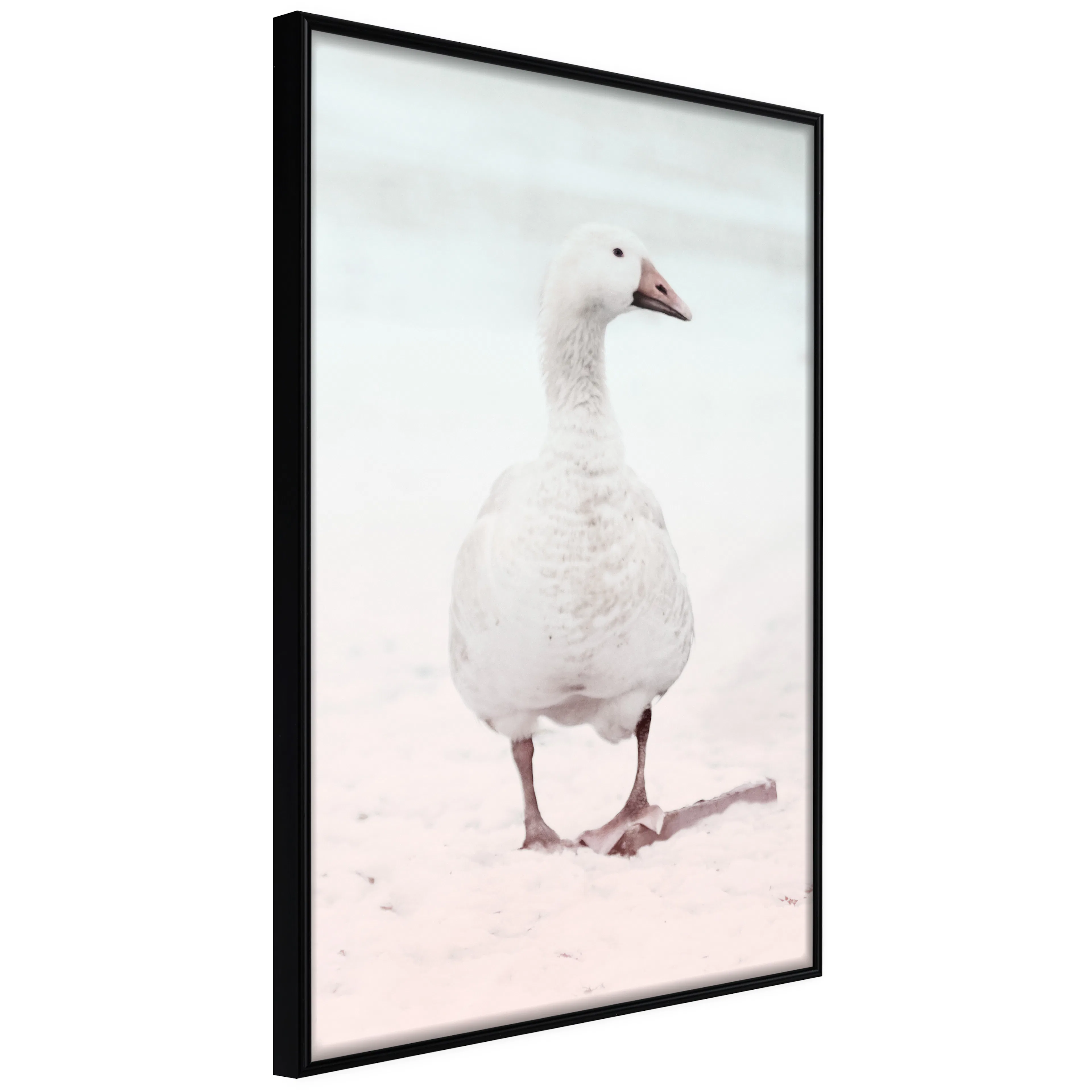 Affisch - Winter Duck [Poster] 30x45 Svart ram, 30x45 cm