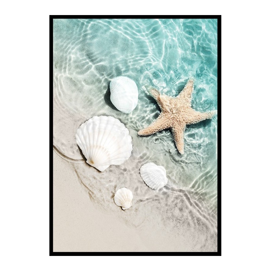 Poster Gallerix Starfish And Seashell