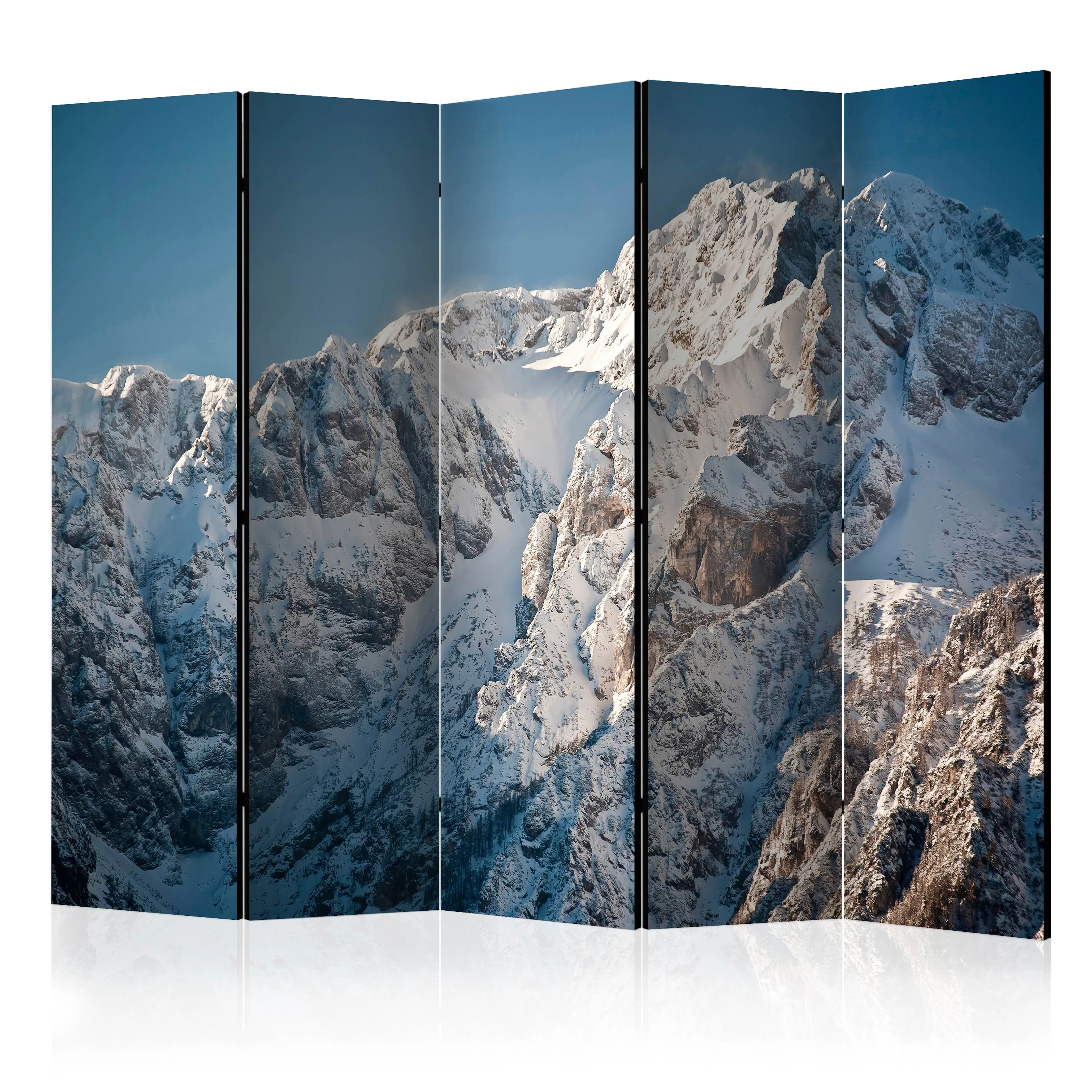Rumsavdelare Skärmvägg Arkiio Winter In The Alps II 225x172 cm