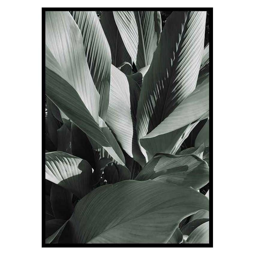 Poster Gallerix Banana Leaves No4