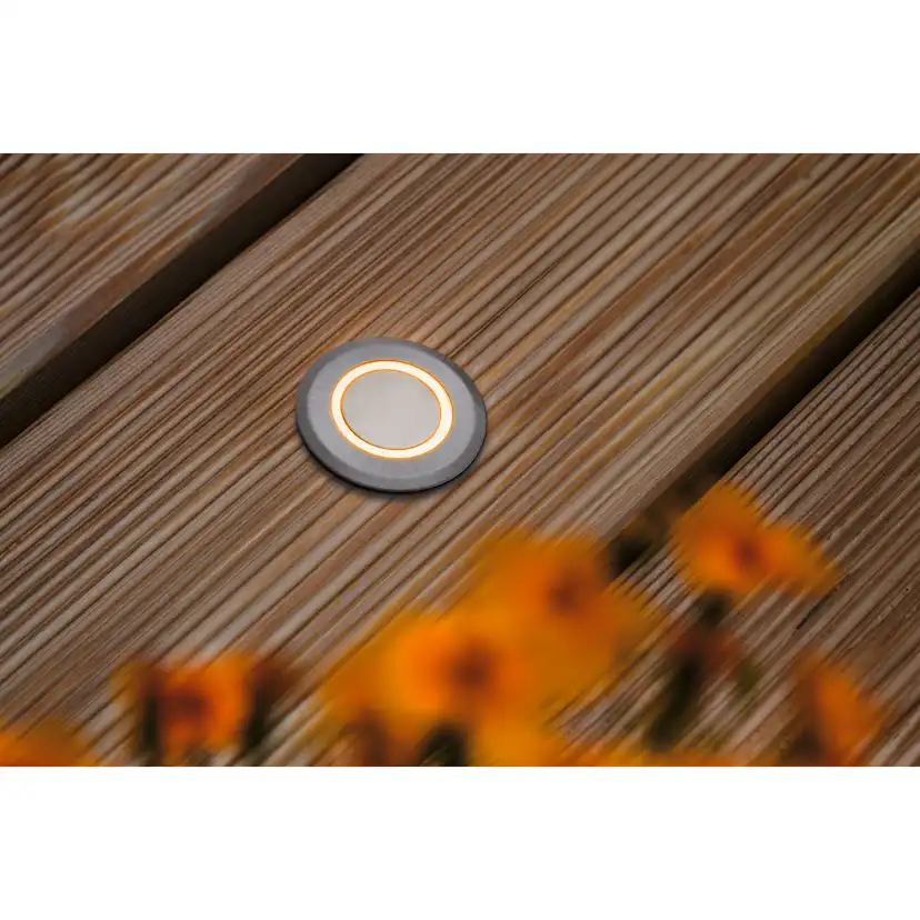 LED Infälld Markbelysning Paulmann House Stripe Rund IP67 230V Light: Gold Light (insektsvänlig)