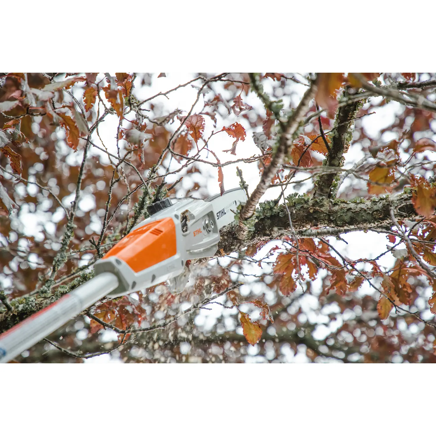 Stånghäcksax STIHL HTA 50.0 Batteridriven Kvistsåg