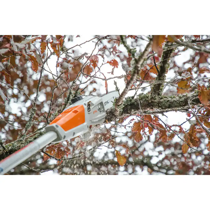 Stånghäcksax STIHL HTA 50.0 Batteridriven Kvistsåg