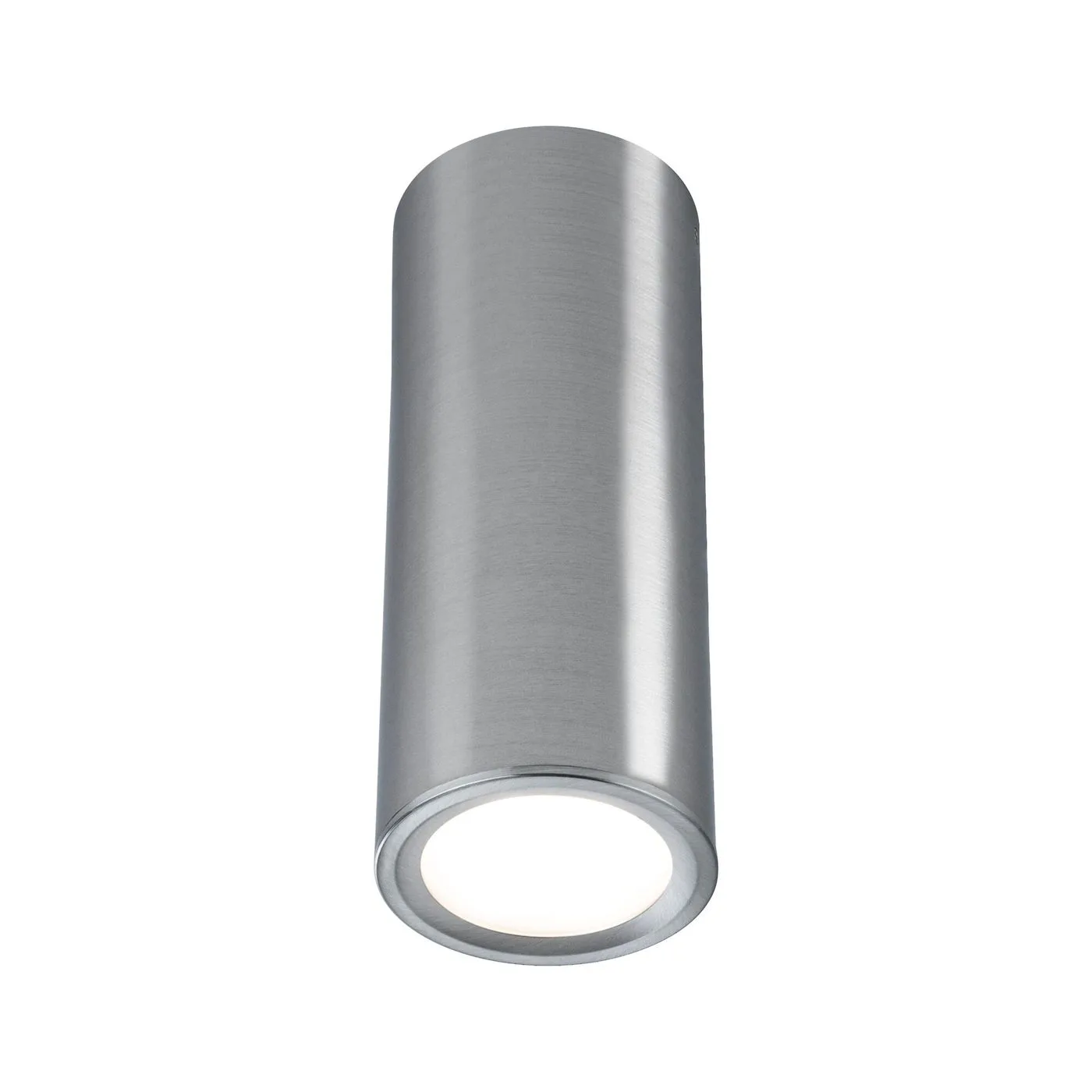 Takspotlight Paulmann Barrel Borstat järn