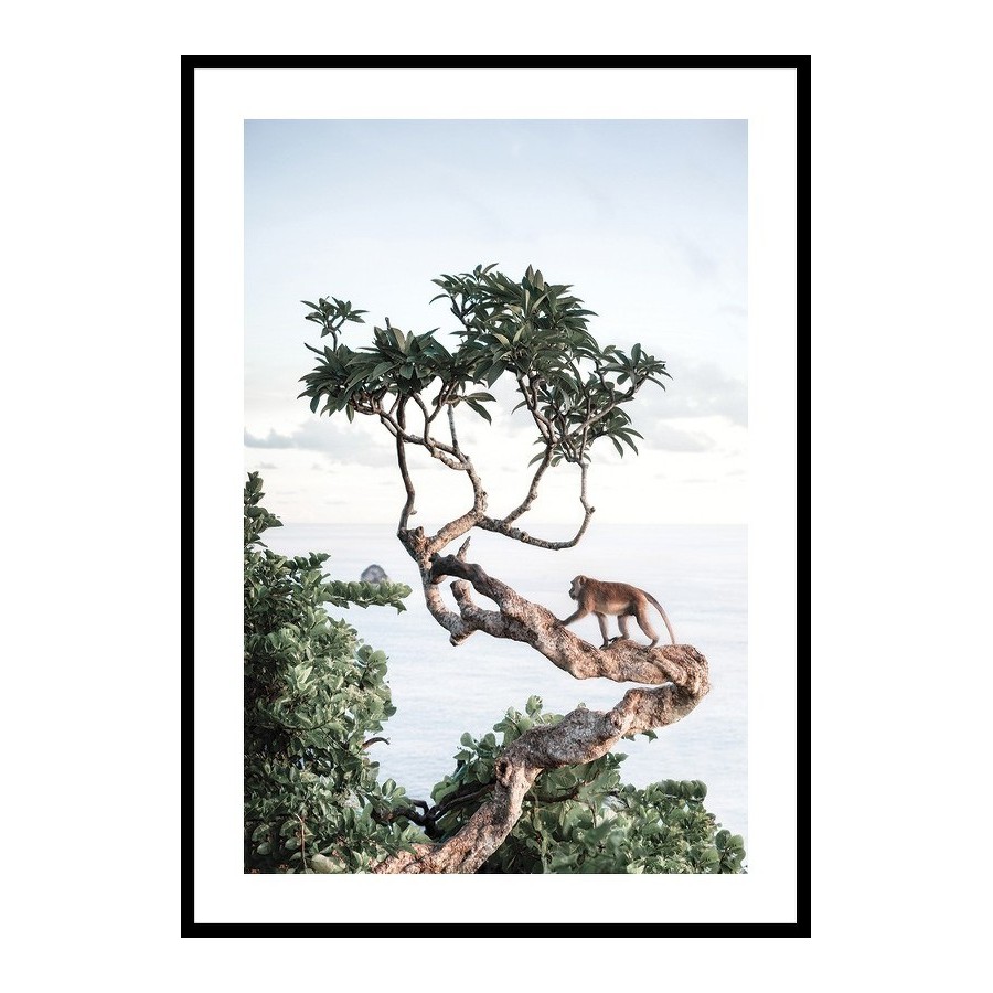 Poster Gallerix Monkey In Tree