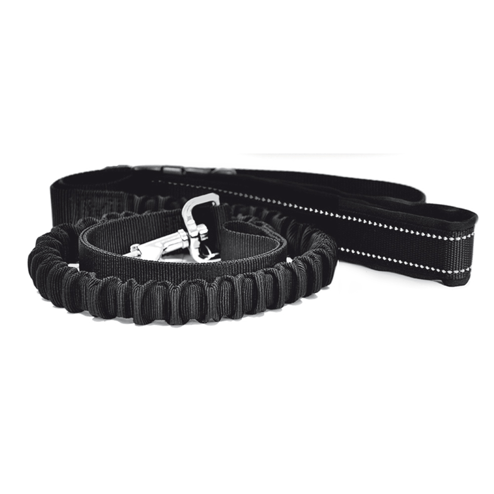 Dragkoppel Kennel Equip Elastiskt Jogging Active