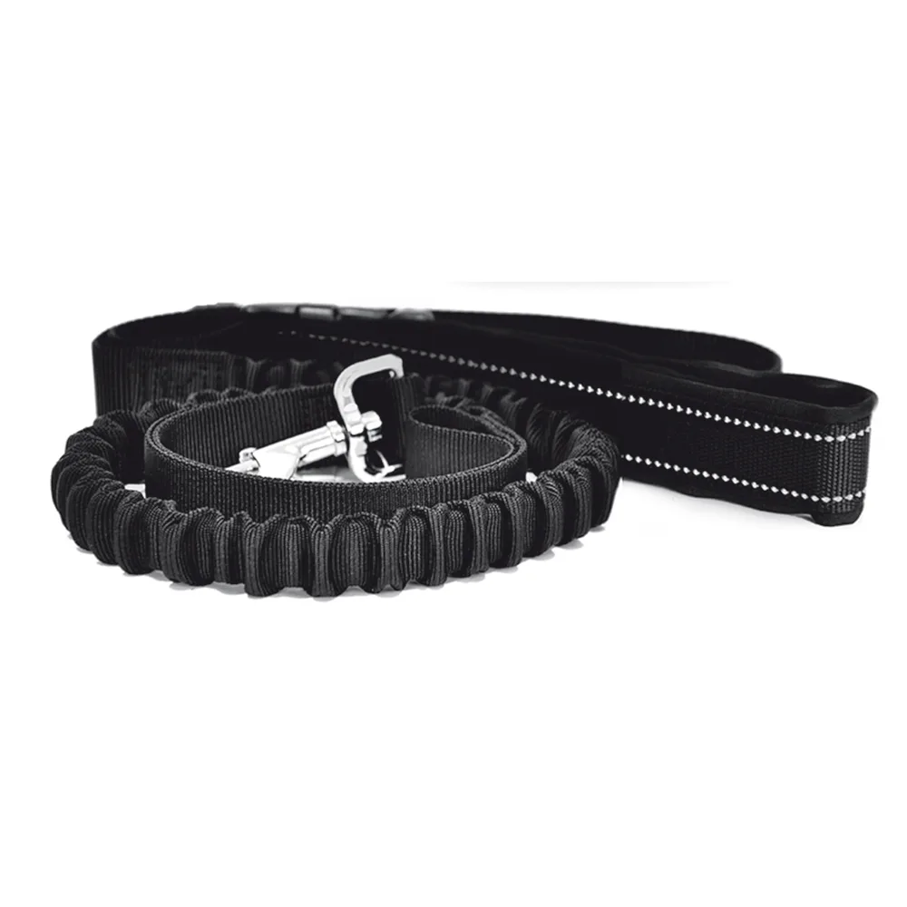 Dragkoppel Kennel Equip Elastiskt Jogging Active