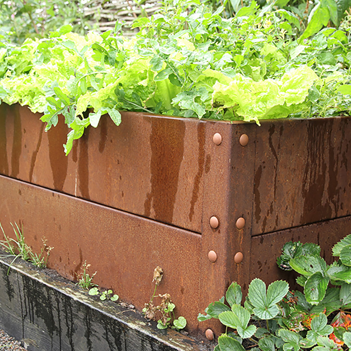 Odlingslåda Flexigarden Cortenplåt 2 mm 800x1200x400 mm