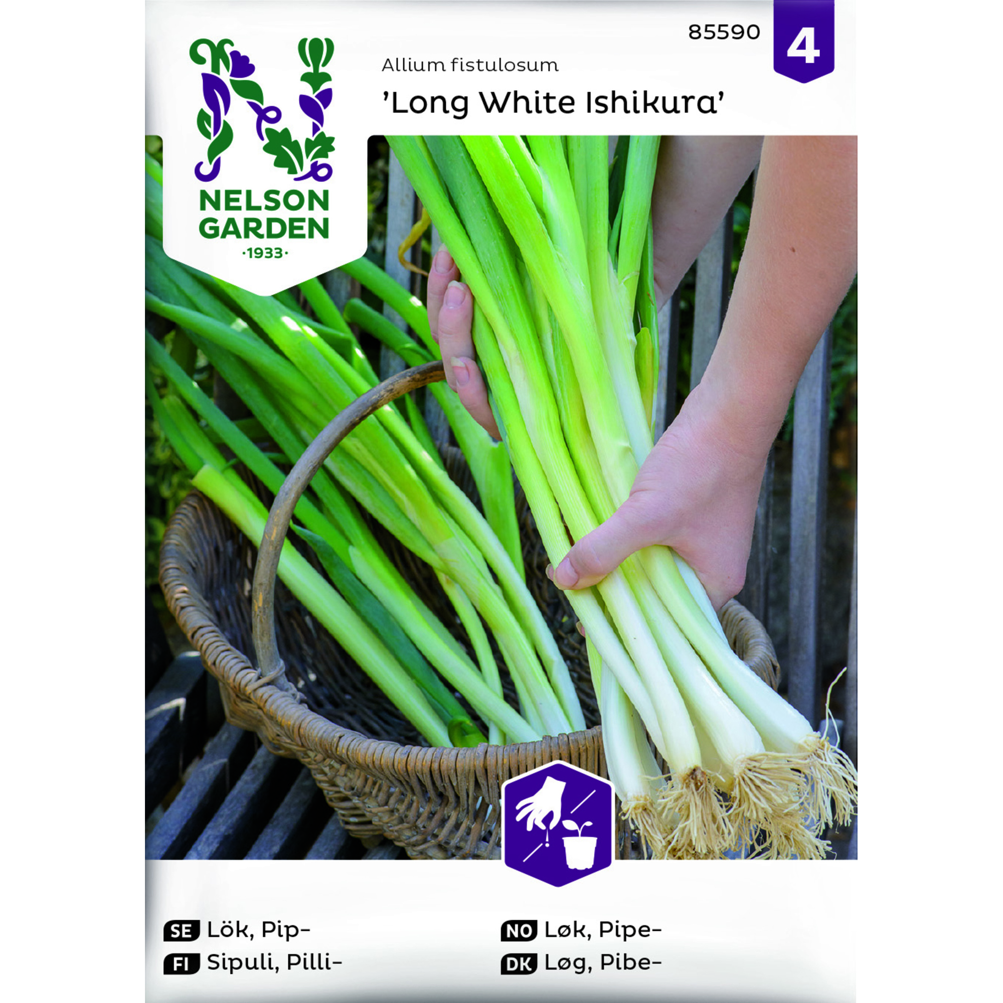 Frö Nelson Garden Gräslök Vanlig Polyvert Organic