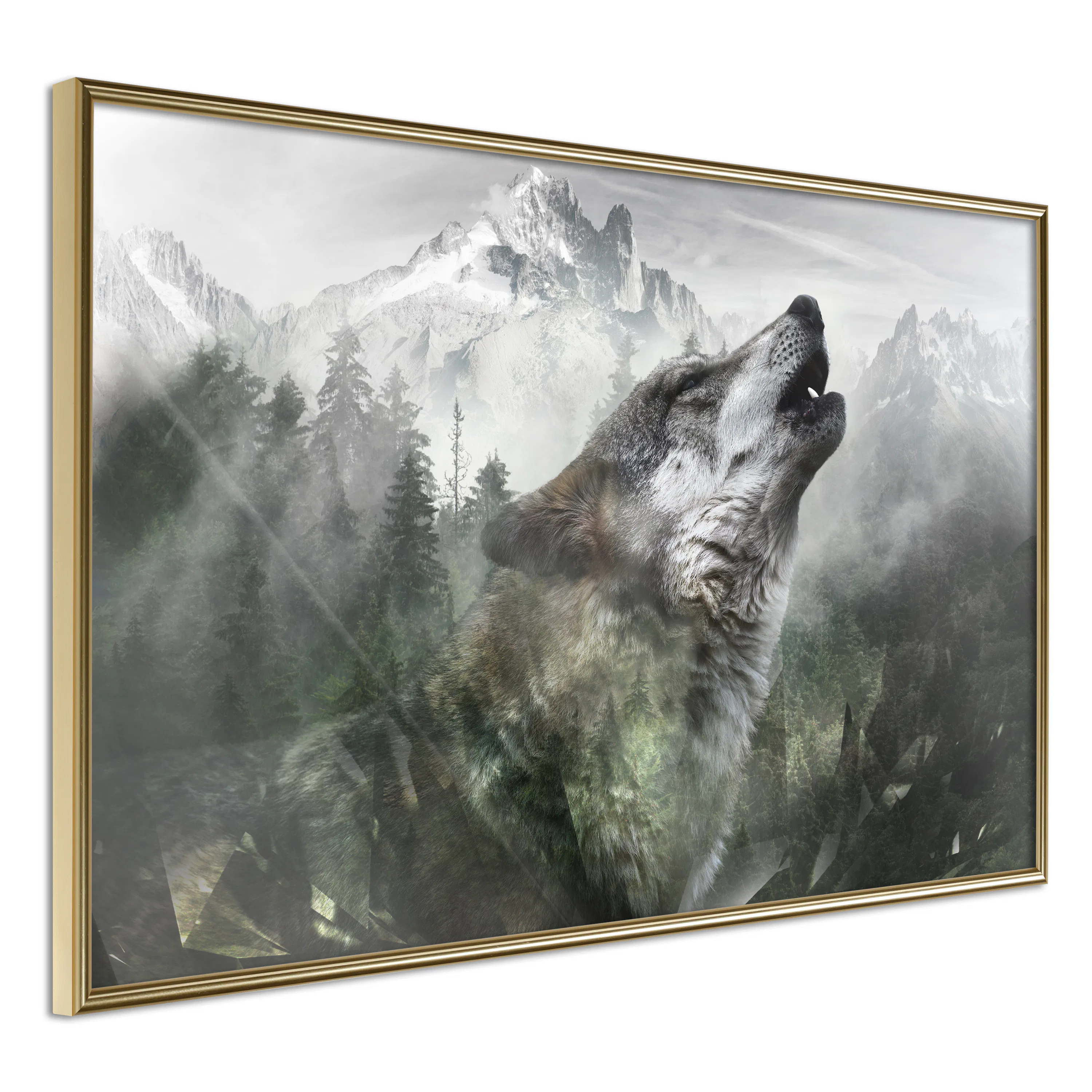 Poster Artgeist Affisch Howling Wolf