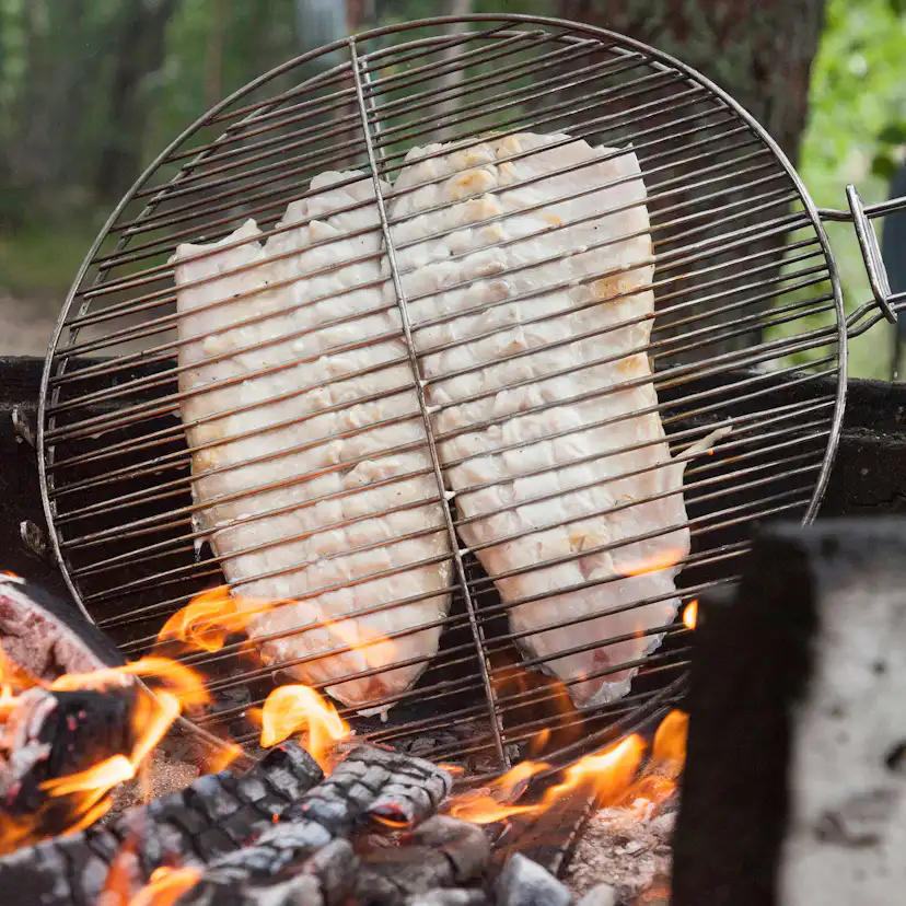 Grillster Muurikka