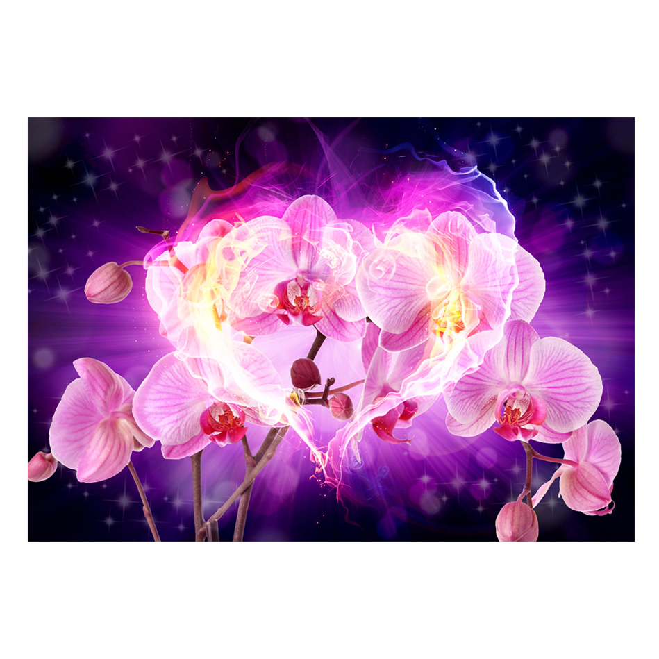 Fototapet Arkiio Orchids In Flames