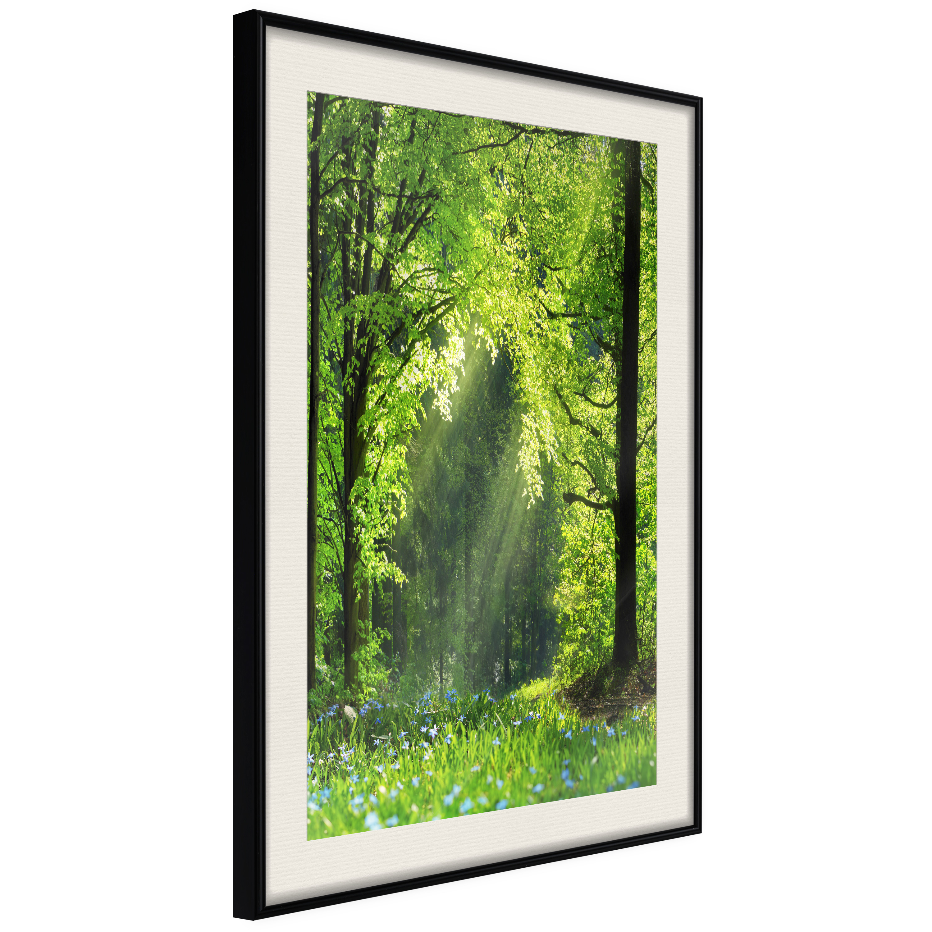Affisch - Rebirth of Nature [Poster] 20x30 Svart ram med passepartout, 20x30 cm